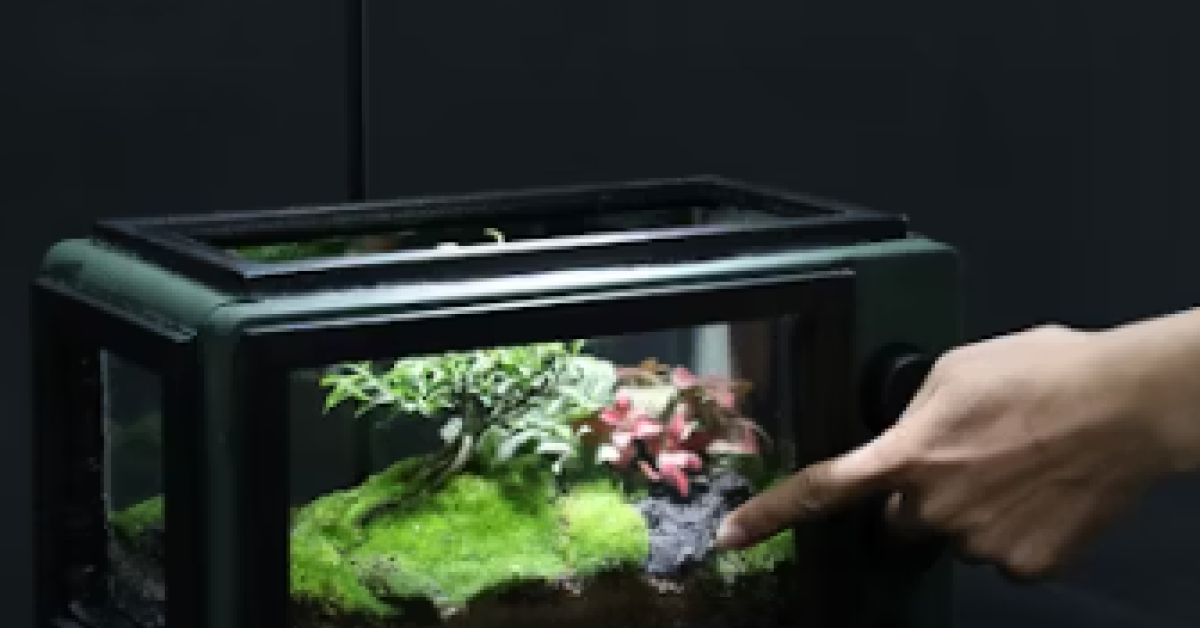 Ecommerce Website Design Secrets That Drive Sales